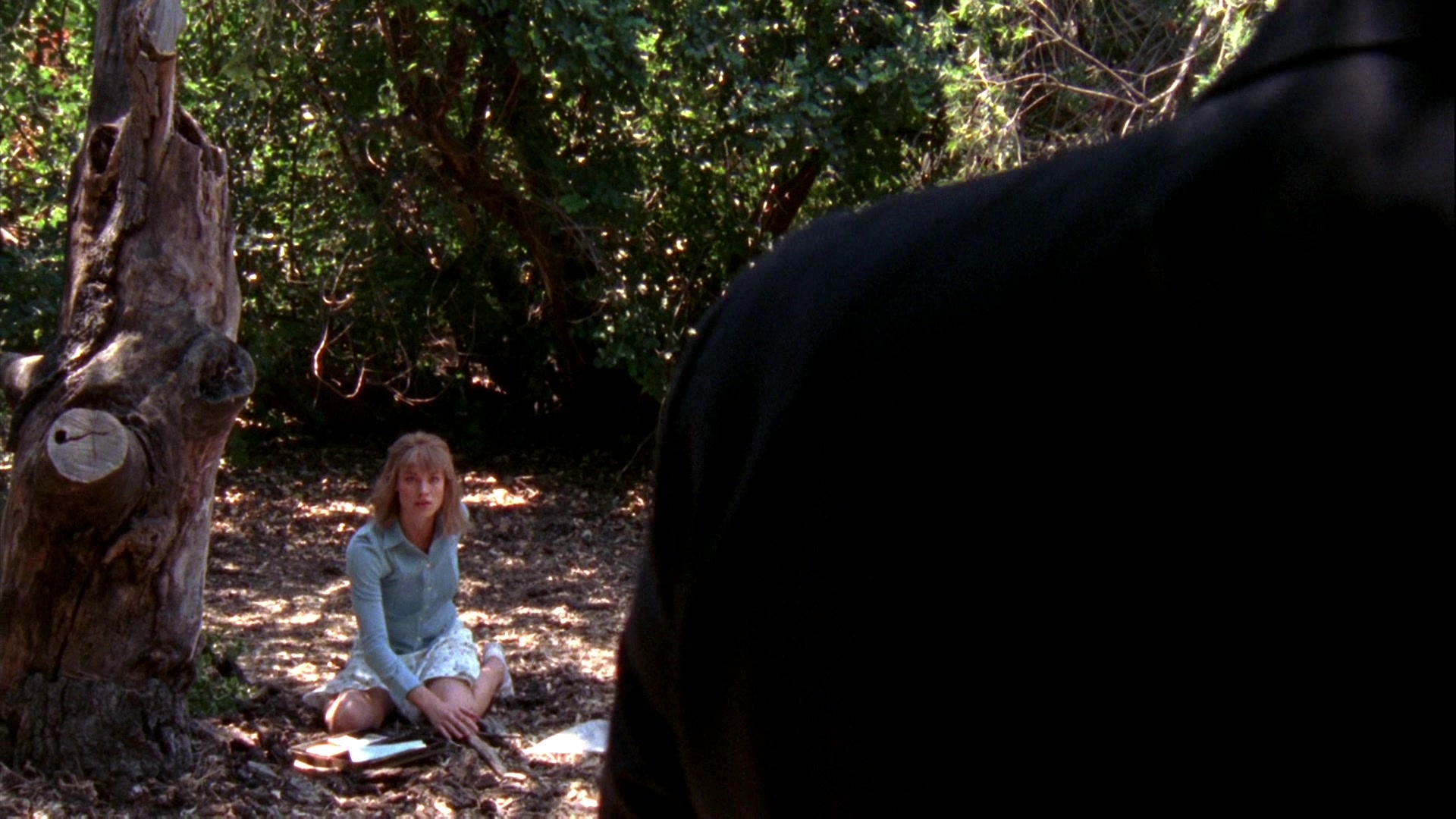 Chuck_2x04_ChuckVersustheCougars_0629.jpg