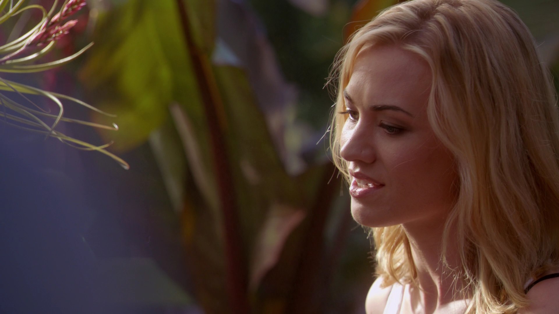 Dexter_7x03_BucktheSystem_0064.jpg Dexter_7x03_BucktheSystem_0064.jpg