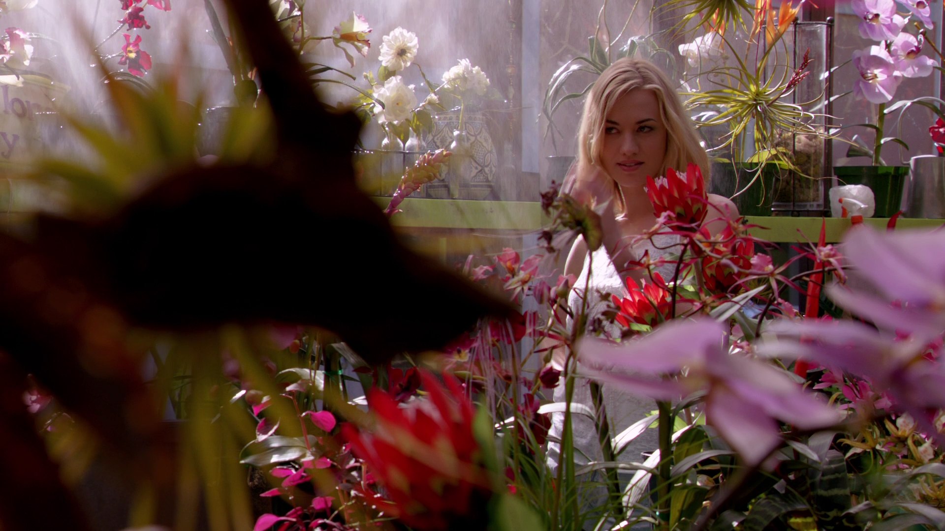 Dexter_7x03_BucktheSystem_0123.jpg Dexter_7x03_BucktheSystem_0123.jpg