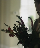 TheHandmaidsTale_1x06_AWomansPlace_0189.jpg